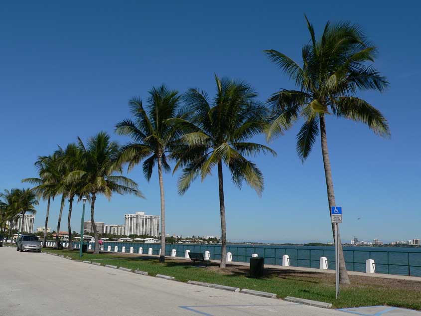 Miami Shores Real Estate