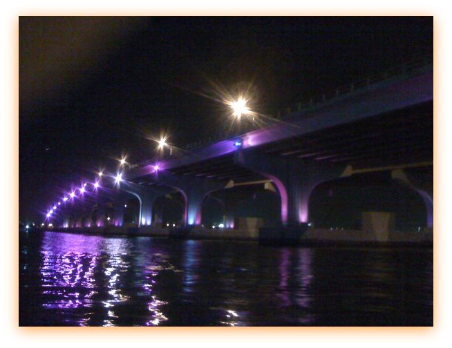 bridge purple lights