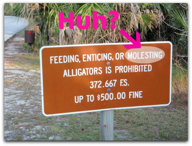 do not molest alligators