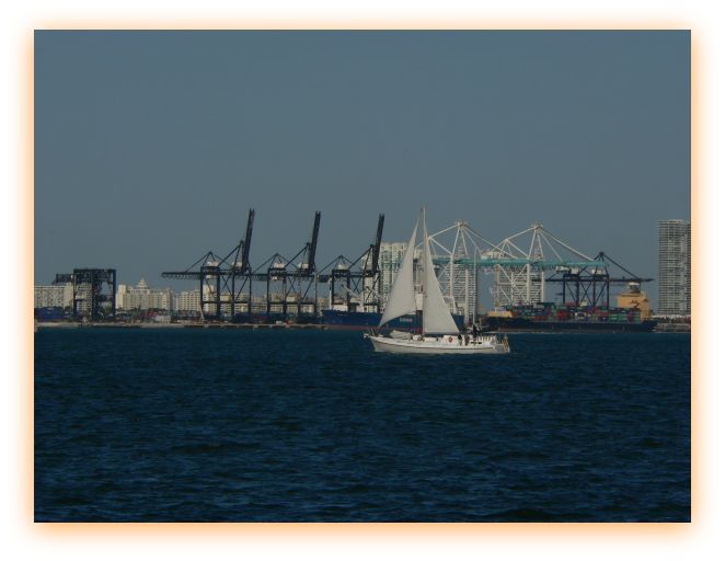 sail-boat-port-miami-cranes
