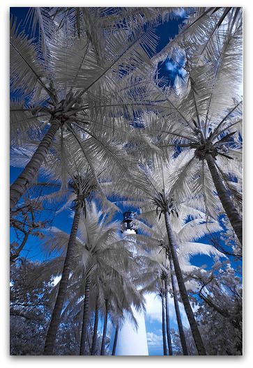 keybiscayne-lgthouse-photomike07-flickr