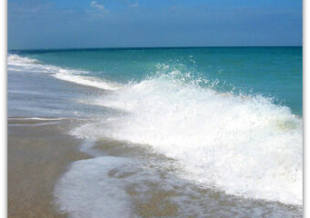 Miamism Fridays – Miami Beach