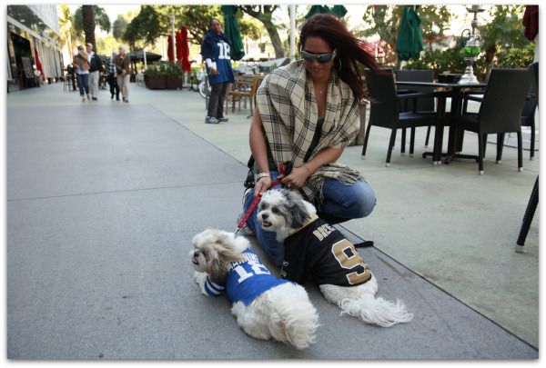 super-bowl-dogs-ricardo-carreon-frame