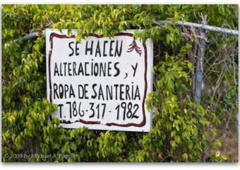 Miamism Fridays – Santeria