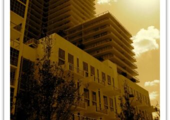 Midtown Miami 33137: Season 1 – Freshman Year