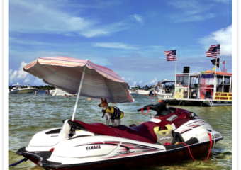 Miamism Fridays – Mutt and his Boat
