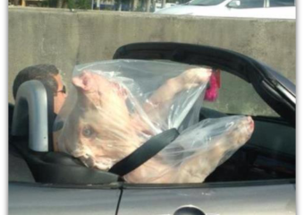 Miamism Fridays – Fancy Lechon