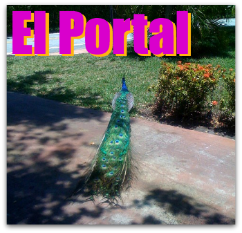el-portalpng