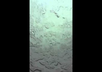 Miami Rain and Thunder