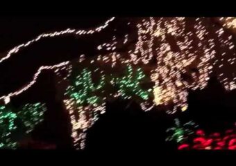 Enchanted Forest Lights – North Miami, FL
