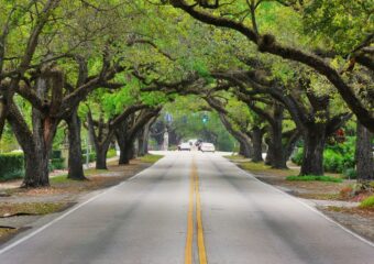 Miami’s 10 Best Suburbs