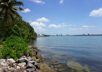 April 09 Real Estate Market Reports for Miami Shores, Bay Harbor Islands, Surfside, Fisher Island, Aventura, Biscayne Park and El Portal