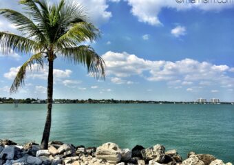 August 09 Real Estate Market Reports for Miami Shores, Bay Harbor Islands, Surfside, Fisher Island, Aventura, Biscayne Park and El Portal