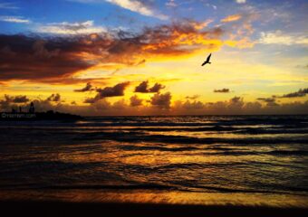 First Miami Sunrise of 2016