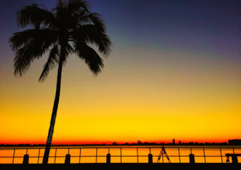 Miami Shores Real Estate Market Report for July 2014