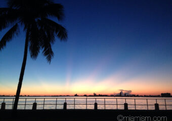 Miami Shores Real Estate Market Report for September 2014