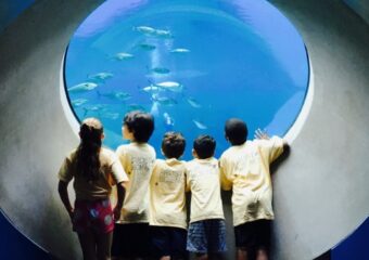 Miami Summer Camps 2018