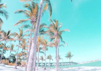 Miamism Fridays – Miami Turquoise by Calivalle
