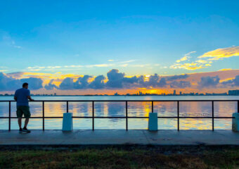 Miami Shores Real Estate Market Report for 2018