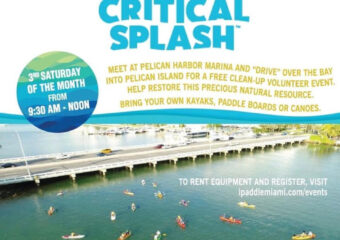 Miamism Fridays – Critical Splash by iPaddleMiami