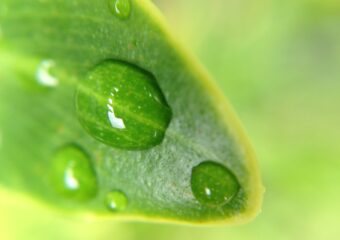 Sustainability and Miami Real Estate