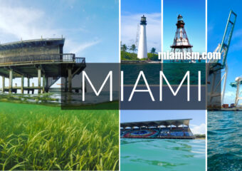 Miami Landmarks on the Water