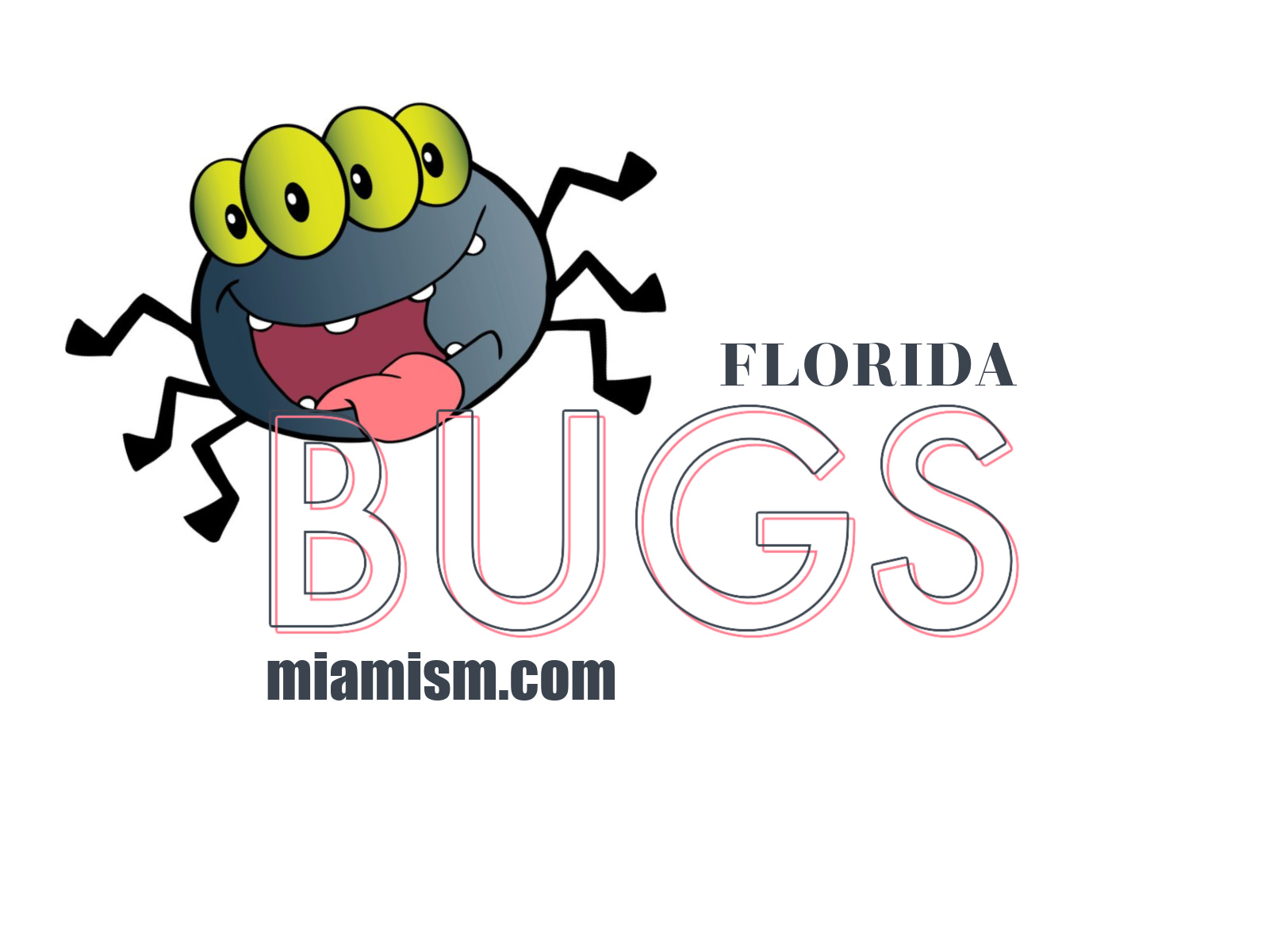 florida-bugs-101-real-scoop