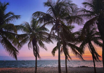 Miamism Fridays – Miami Sunset