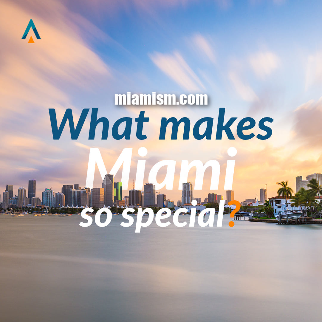 what-makes-miami-so-special