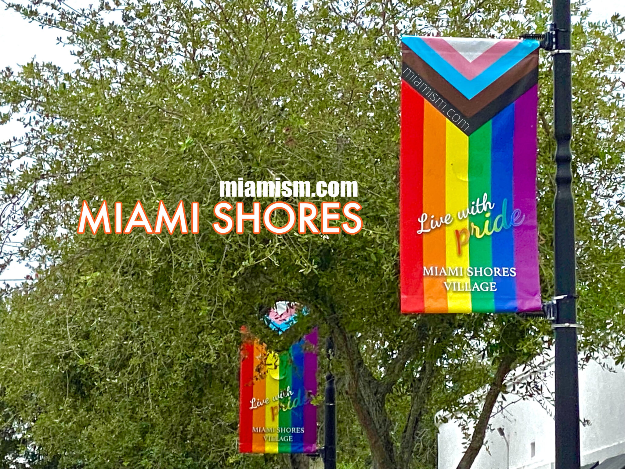 Miami Shores Real Estate Trends Report Comprehensive October 2024