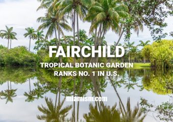 Fairchild Tropical Botanic Garden ranks Number 1 botanical garden in the U.S.