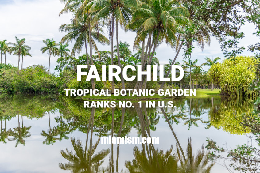 Fairchild tropical garde by miamism
