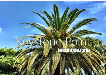 Keystone Point Real Estate Trends: November 2023 Market Analysis and Insights