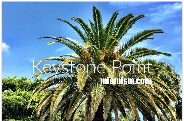 keystone point real estate stats by miamism