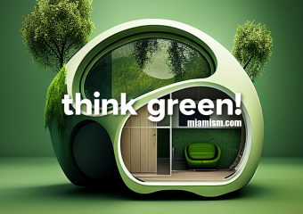 5 Green Home Improvements for Miami Homes: Expert Tips for Eco-Conscious Design