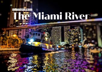 The Miami River: A Bit More Than Cargo Ships and Mediocre Meals