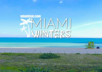 Why Miami Winters Will Make You Rethink Everything About Cold Weather