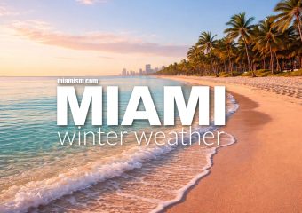 Miami Winter Weather: Why Cold Weather Feels Optional Here